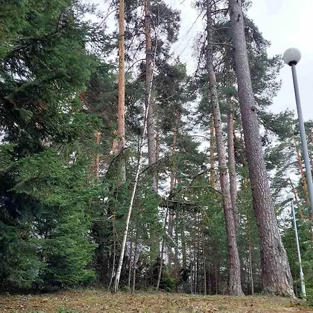 B5 5 Relax Chamkoria