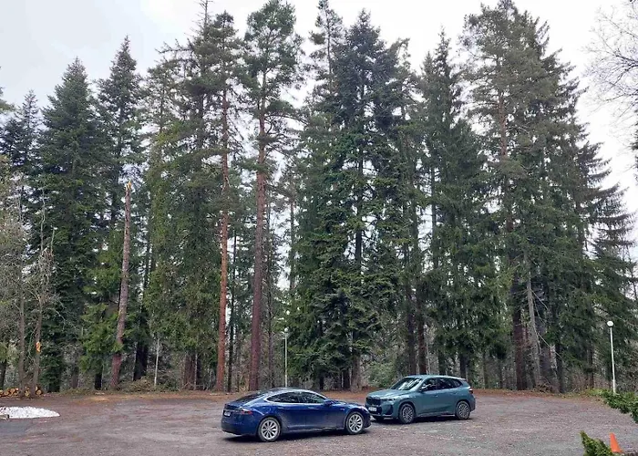 B5 5 Relax Chamkoria Appartement Borovets