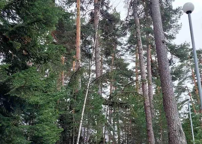 B5 5 Relax Chamkoria